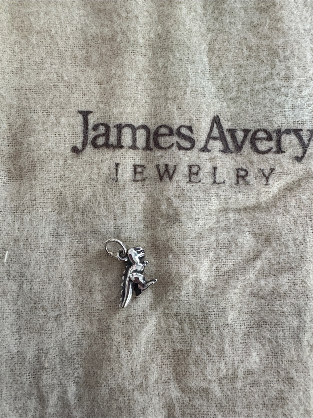 James Avery Silver T Rex Charm in Polished Silver - Picture 2 of 3